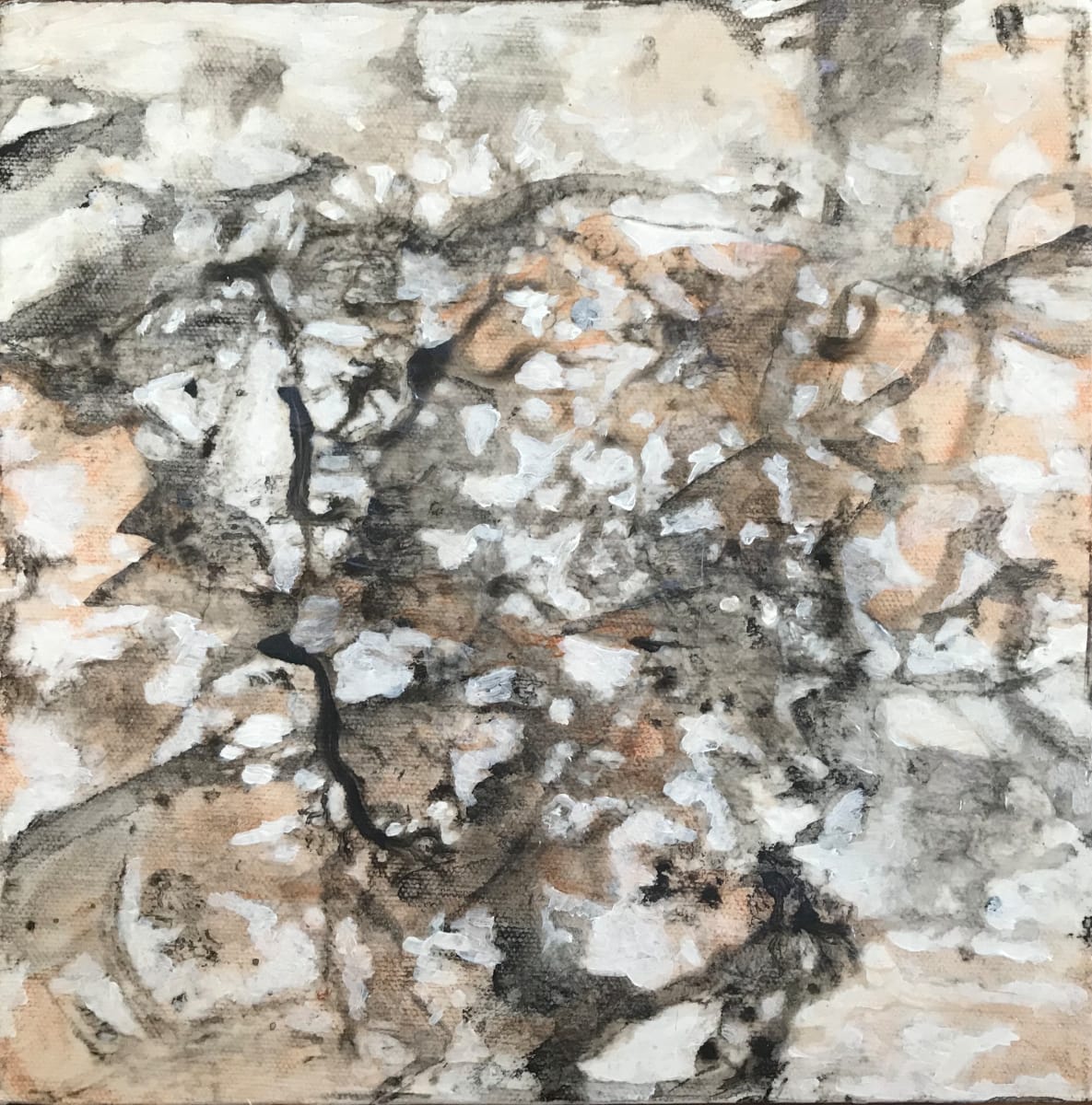 Mystery Light Study 1 by C. Clinton 