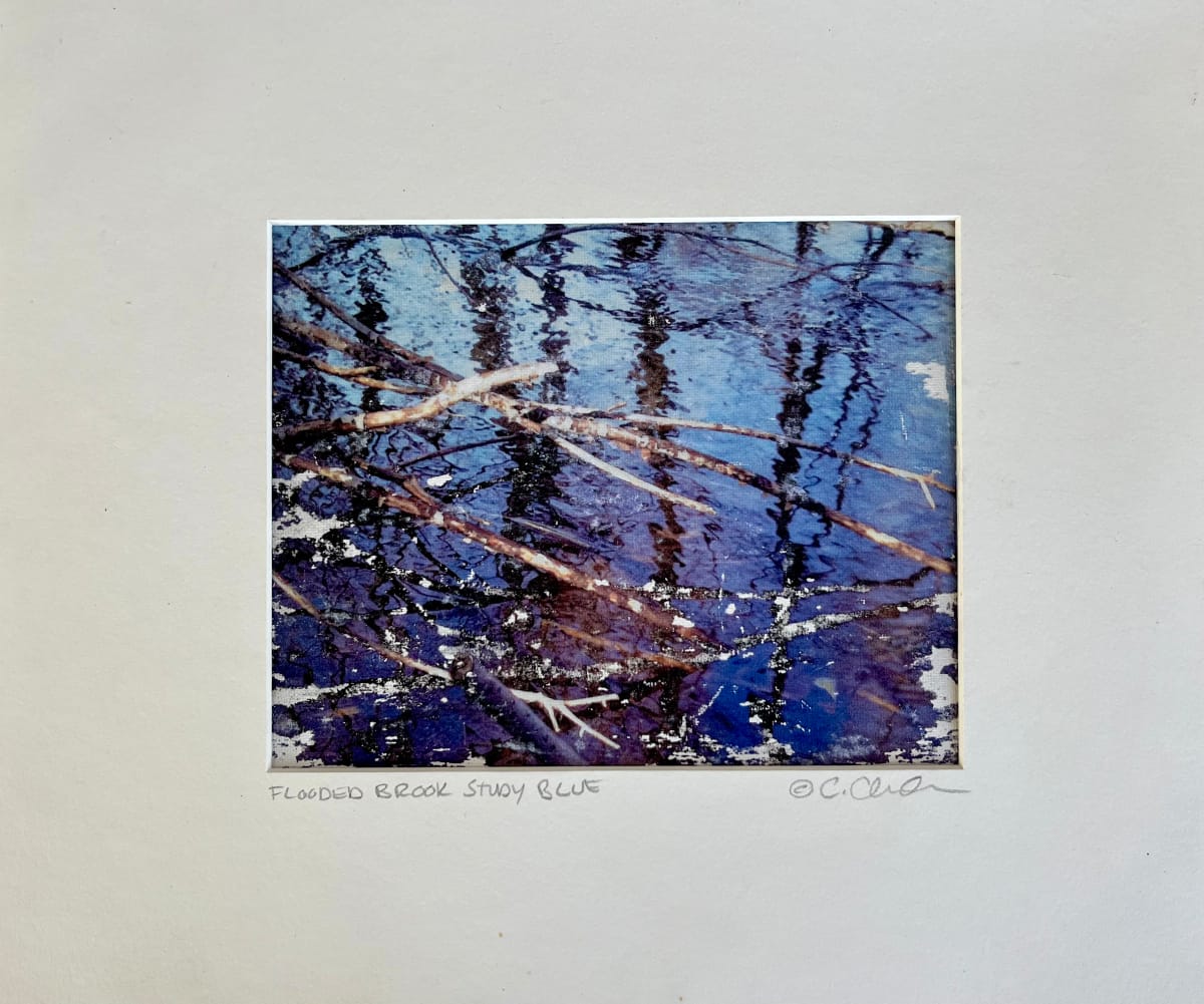 Flooded Brook Study Blue by C. Clinton, Image 1.