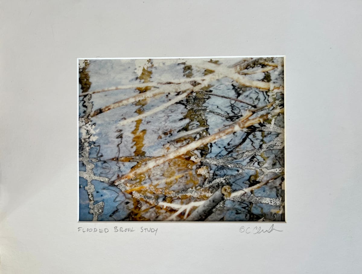 Flooded Brook Study, Boylston by C. Clinton, Image 1.