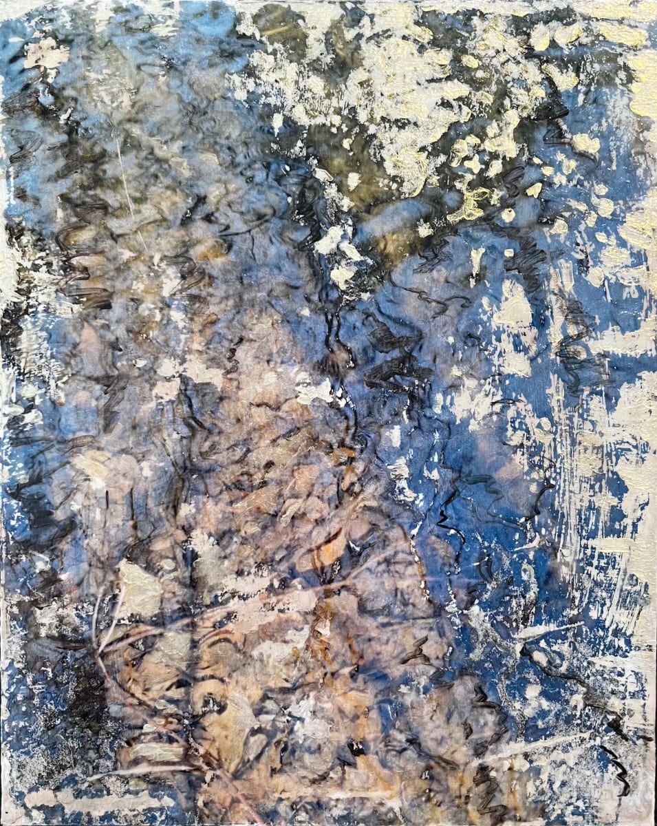 Flooded Brook 19 by C. Clinton 