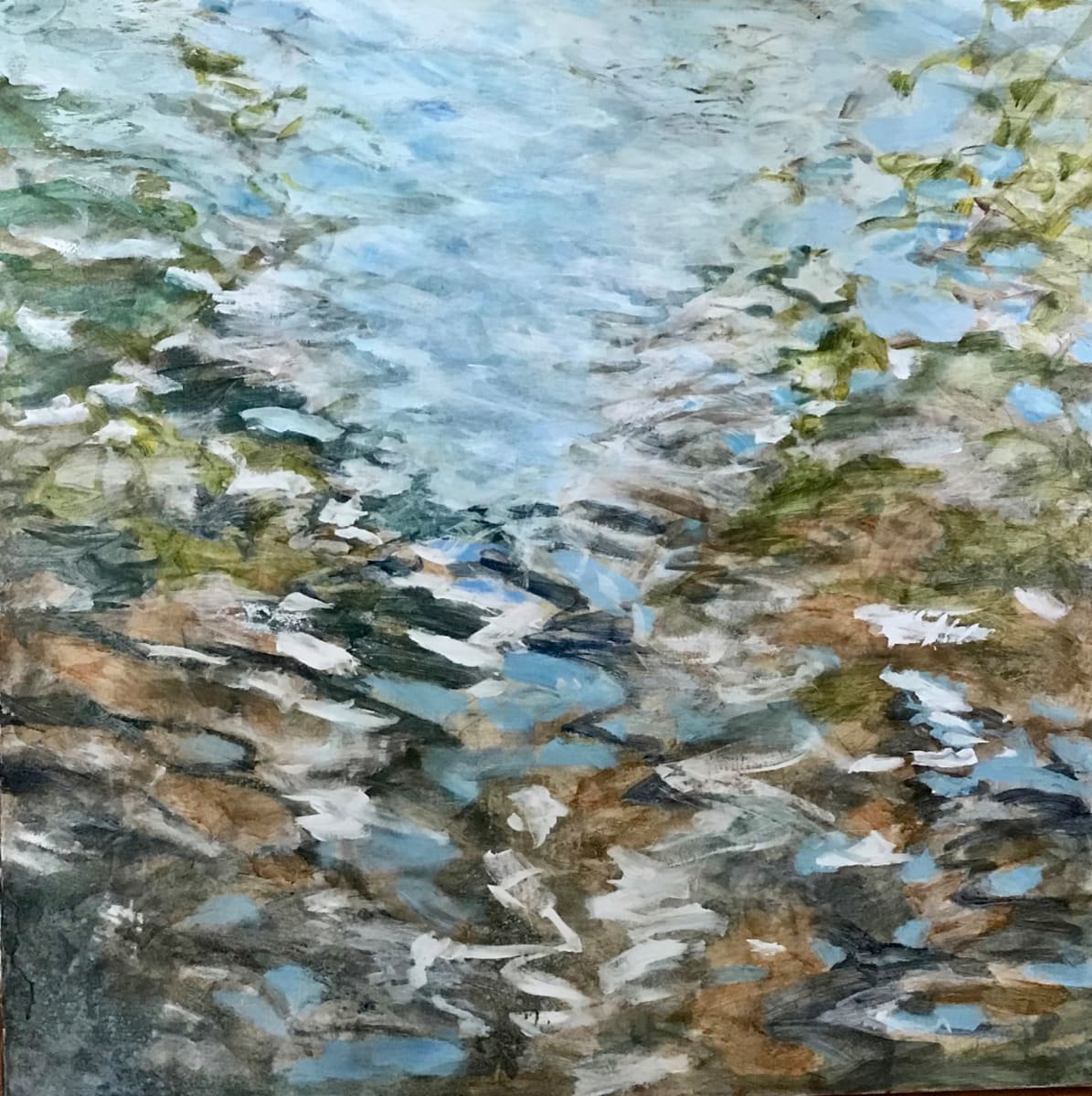 Woodland Water Transitions 