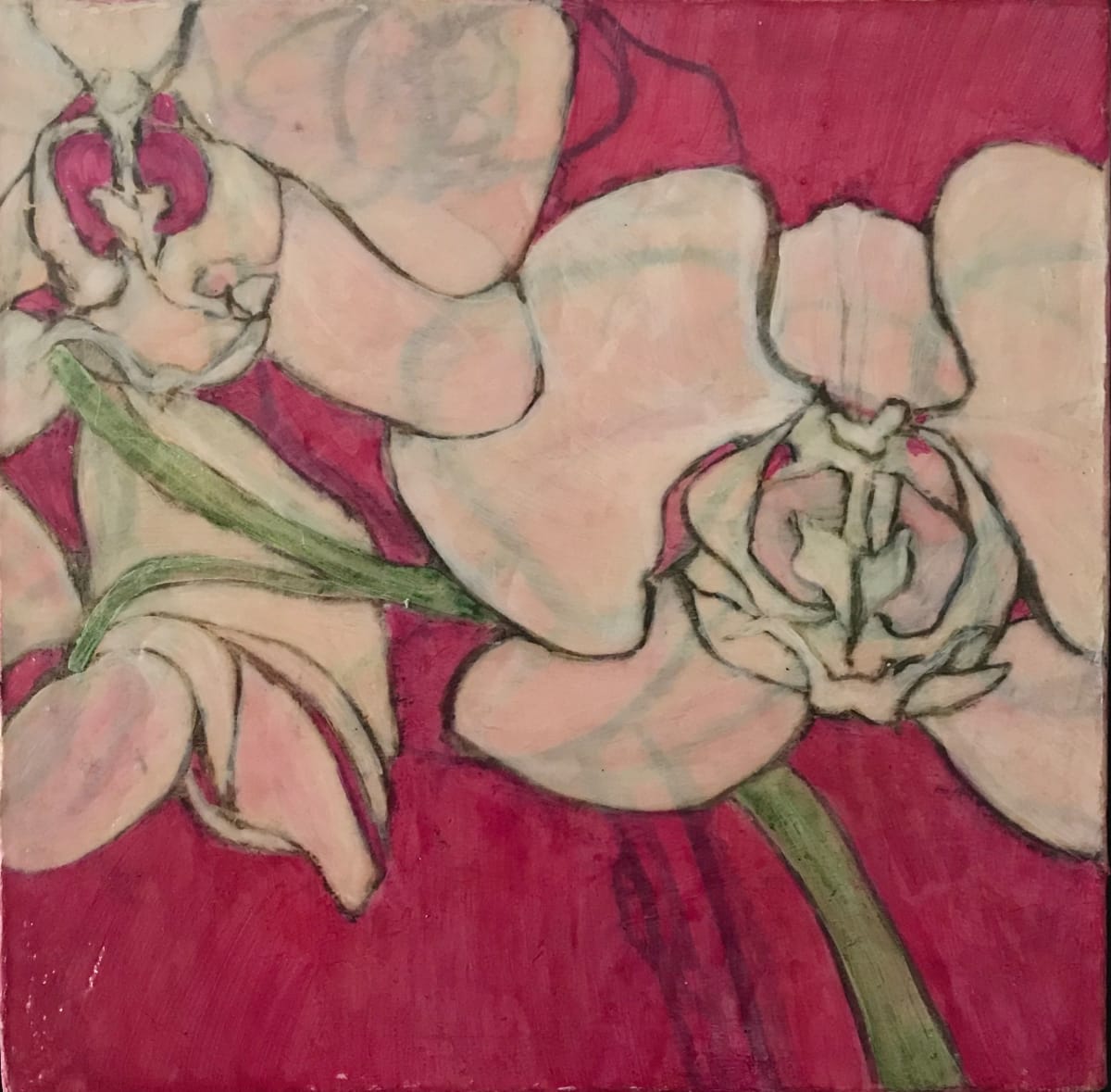 Orchid II by C. Clinton, Image 5.