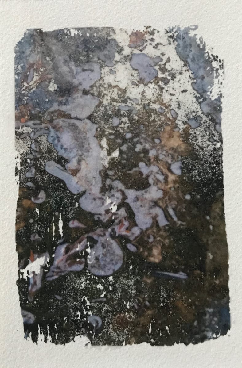 Puddle Study 2, 14x11 by C. Clinton, Image 2.