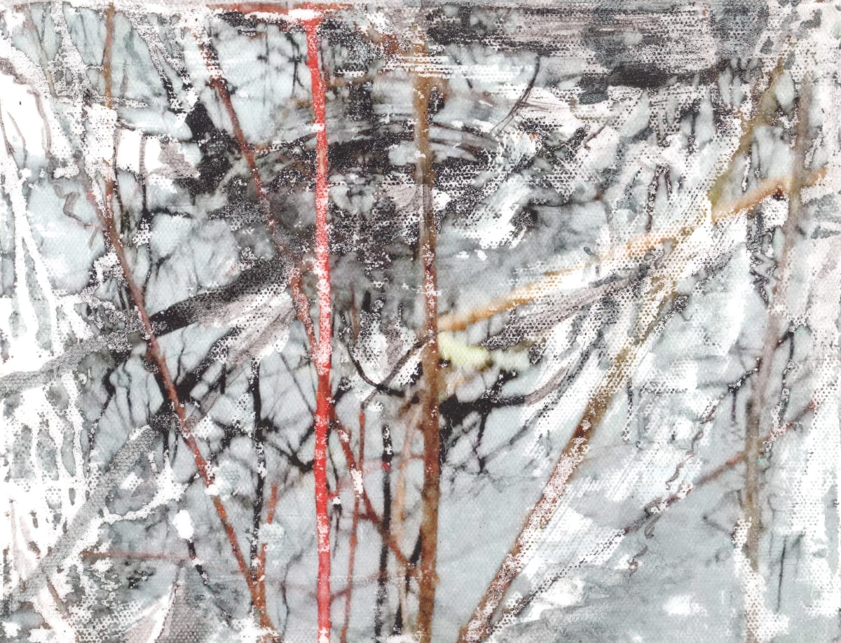 Red Reed 5 by C. Clinton 