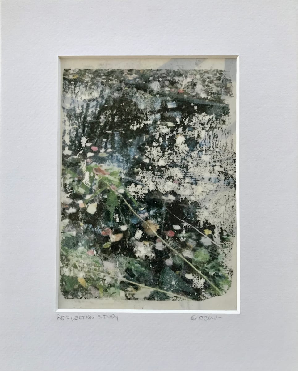 Reflection Study, 8x10 by C. Clinton, Image 1.