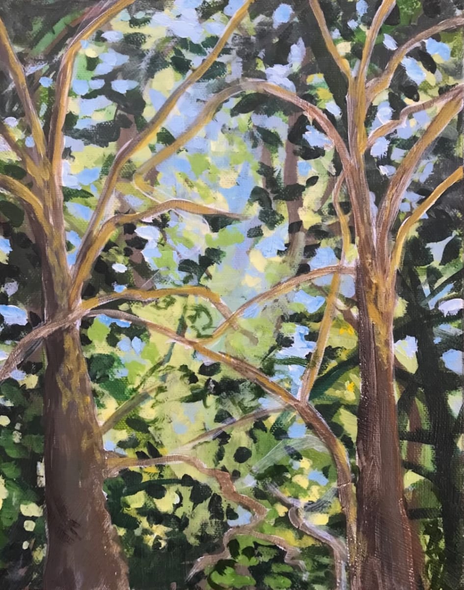 Breath of Trees, Sundance by C. Clinton 