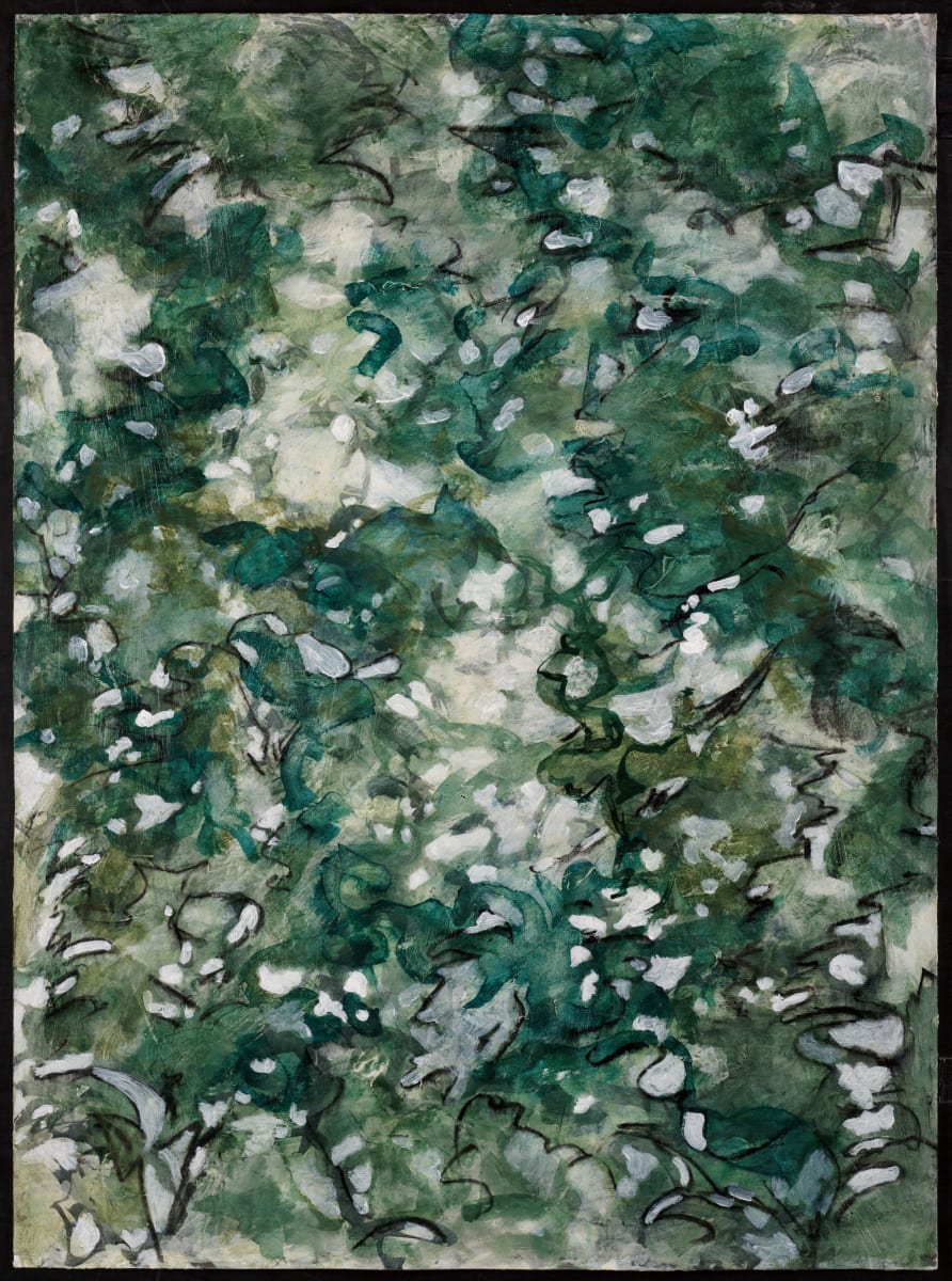 Summer Shadows 2 by C. Clinton 