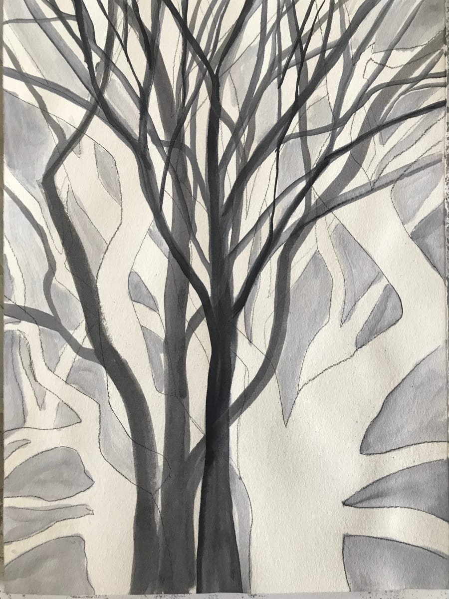 Tree Study, Ink and Graphite 