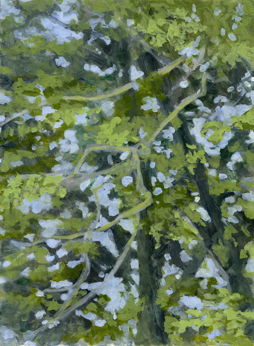 Tree Light Summer 1 by C. Clinton, Image 1.