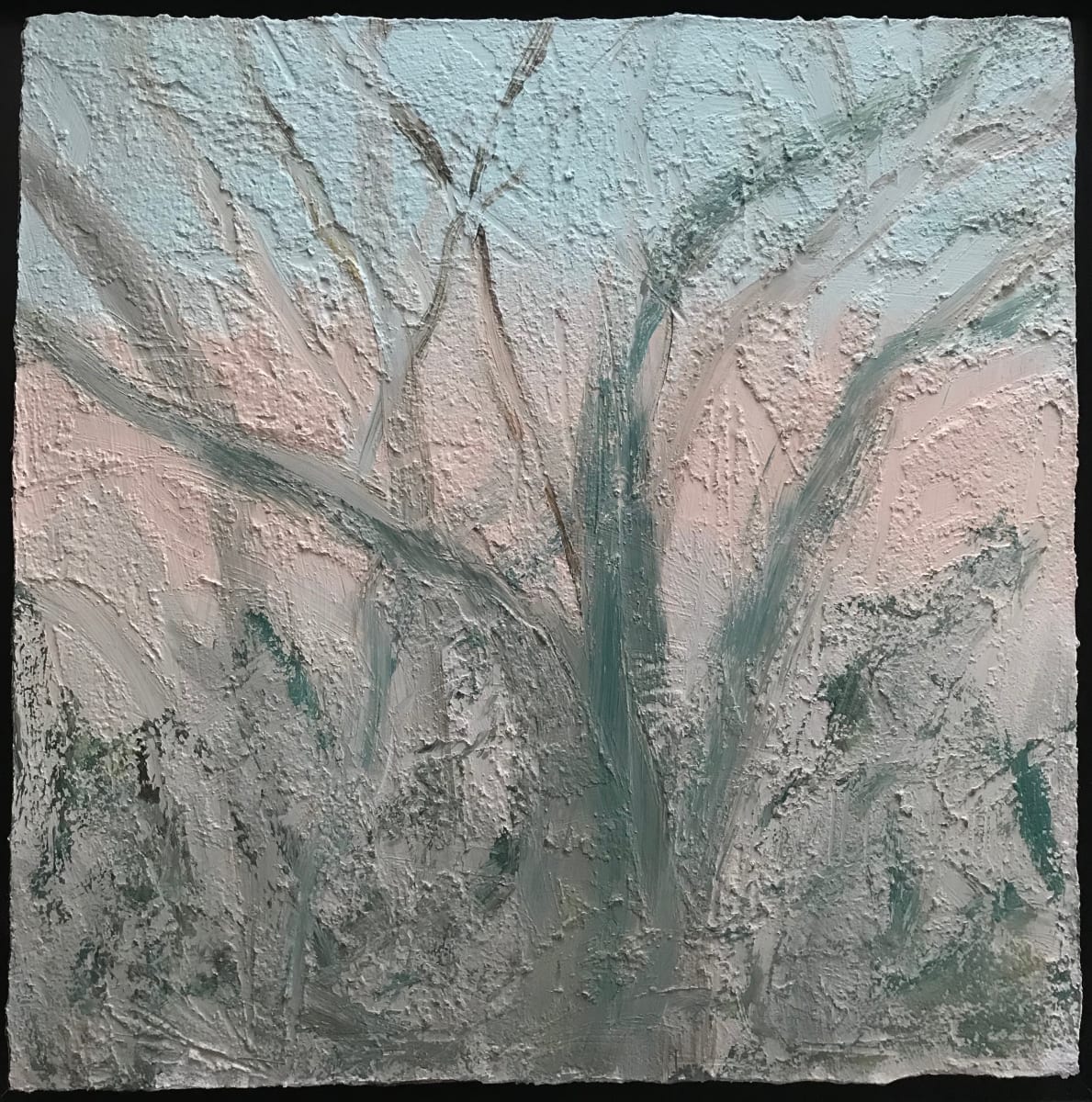 Winter Tree Study by C. Clinton 