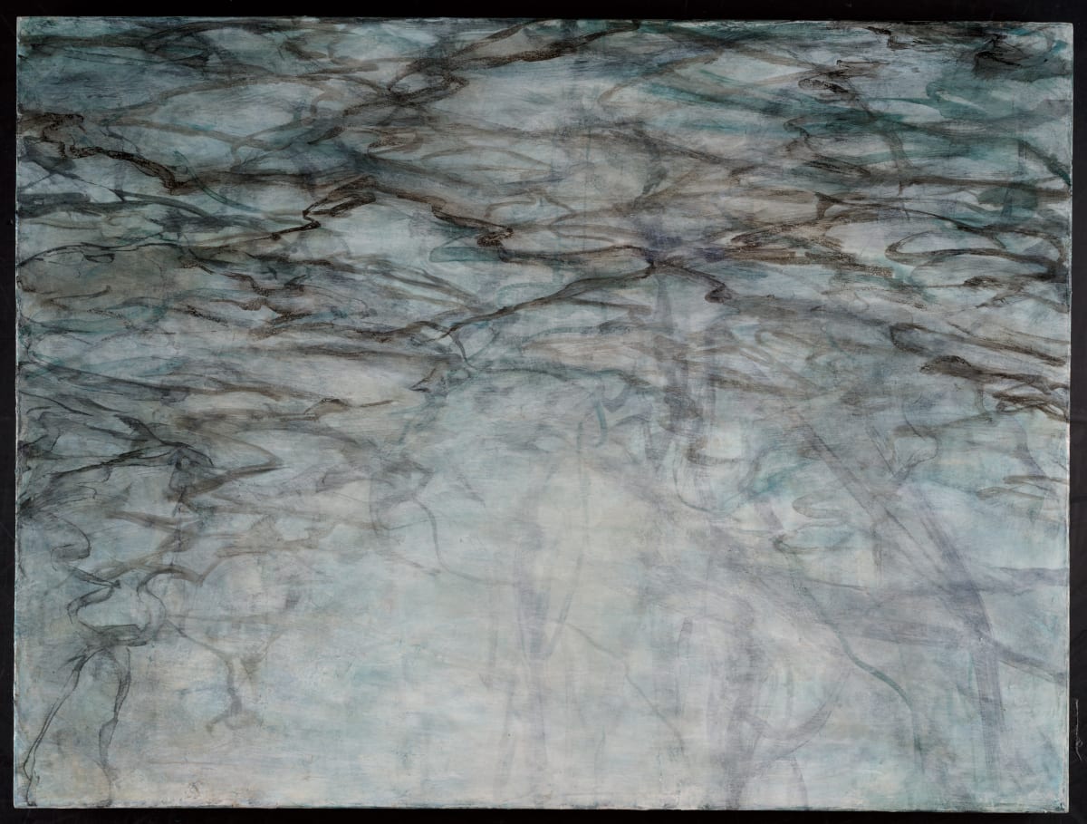 Woodland Water Flooded Brook by C. Clinton 