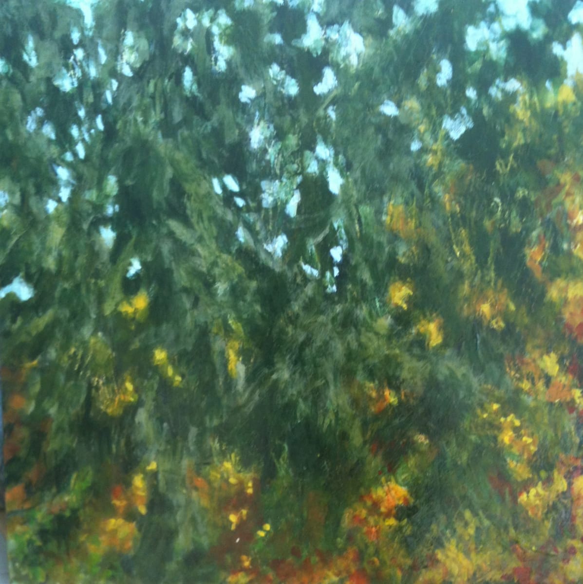 Tree Light: Impossible Blue by C. Clinton, Image 1.