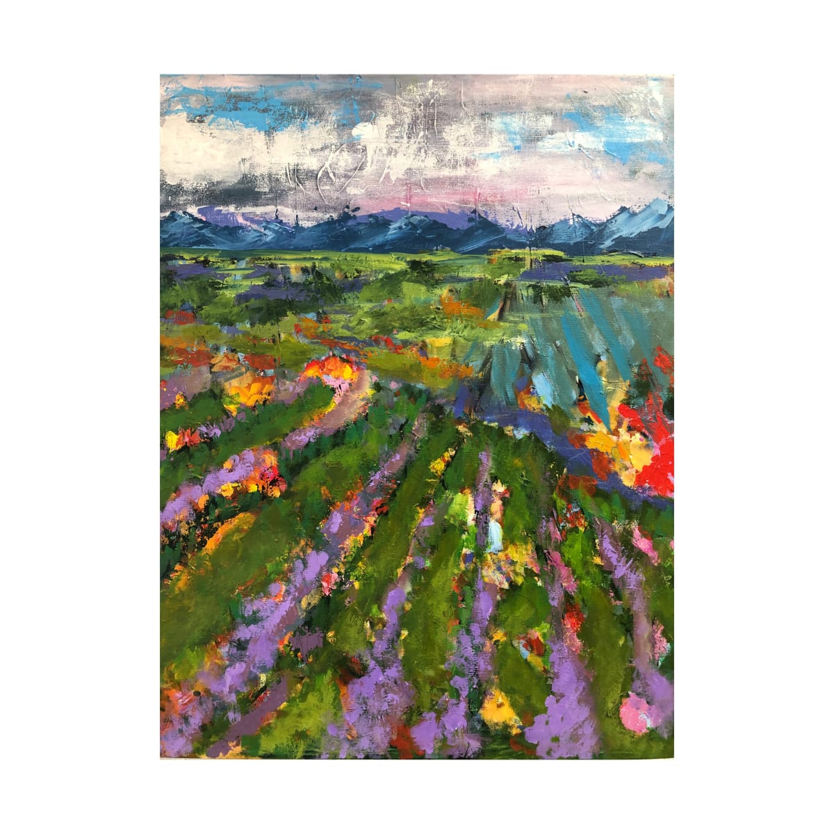 Lavender Fields 