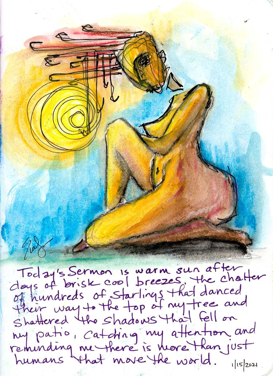 Lost Journal: Today's Sermon by Evelyn Dufner 