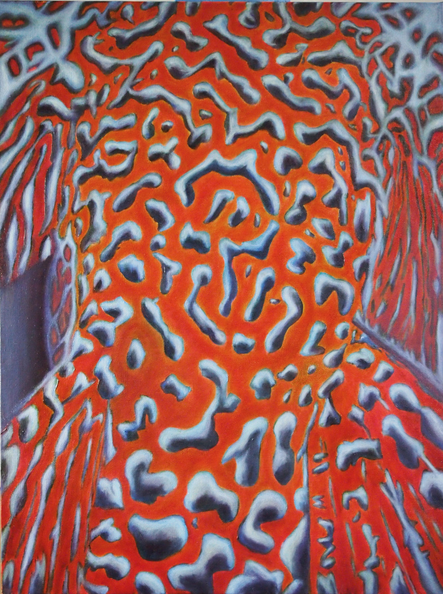 Plecostomus by Trent Thigpen 