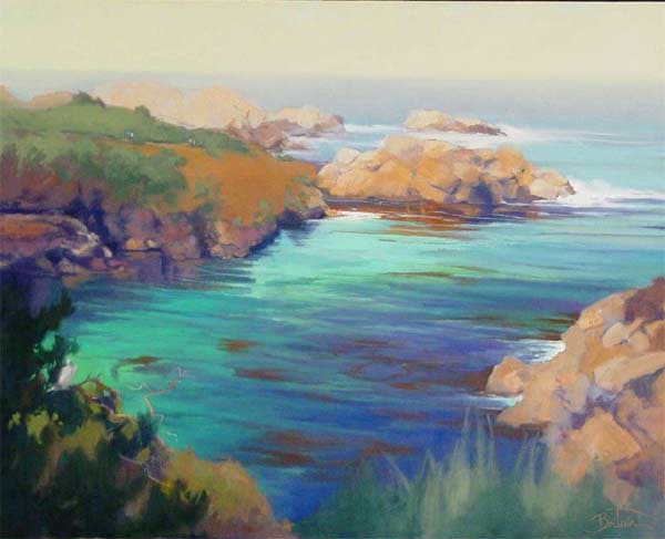 Birdseye View - Point Lobos, Carmel 