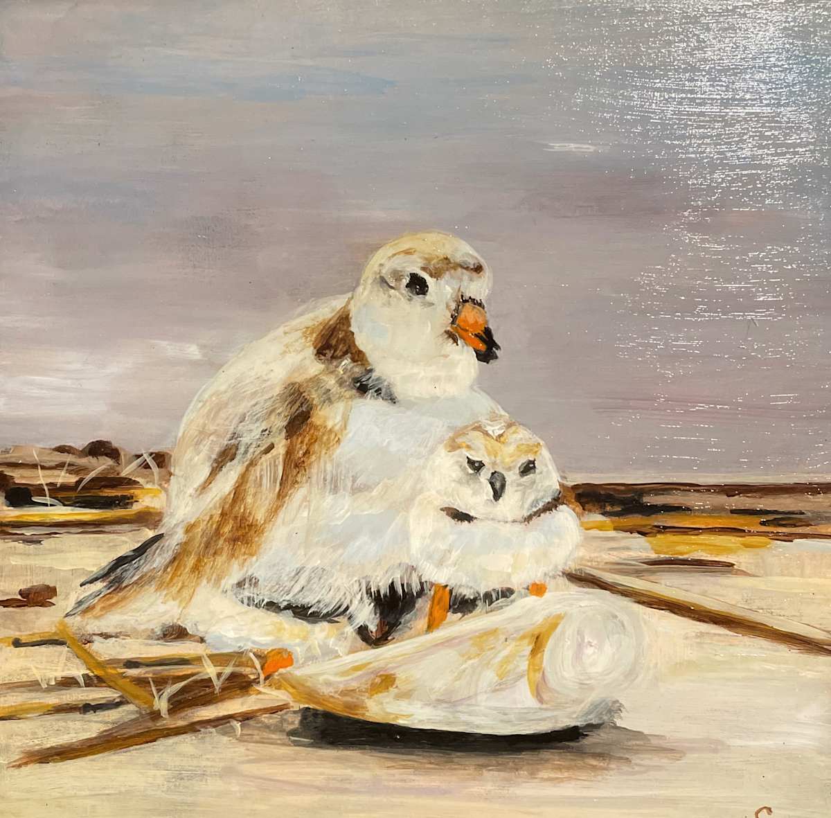 Clam Shell Baby by Susan McCraine, Image 4.