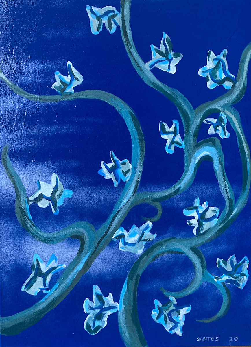 Night Flowers by Jose Santos 