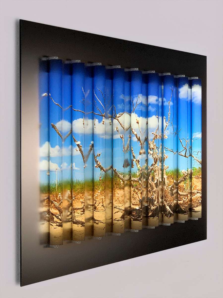 Wishing Tree by Clint Baclawski 