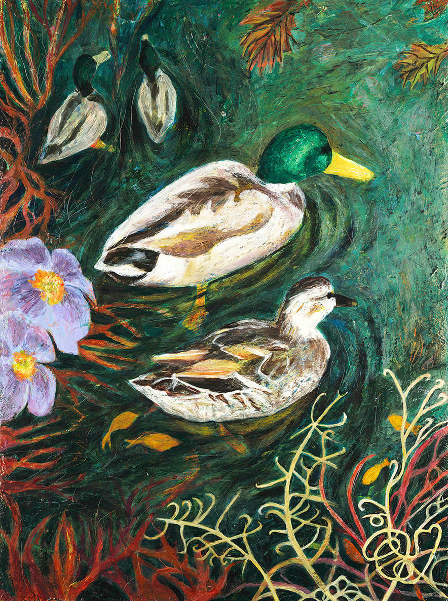 Mallards by Julie C Baer 