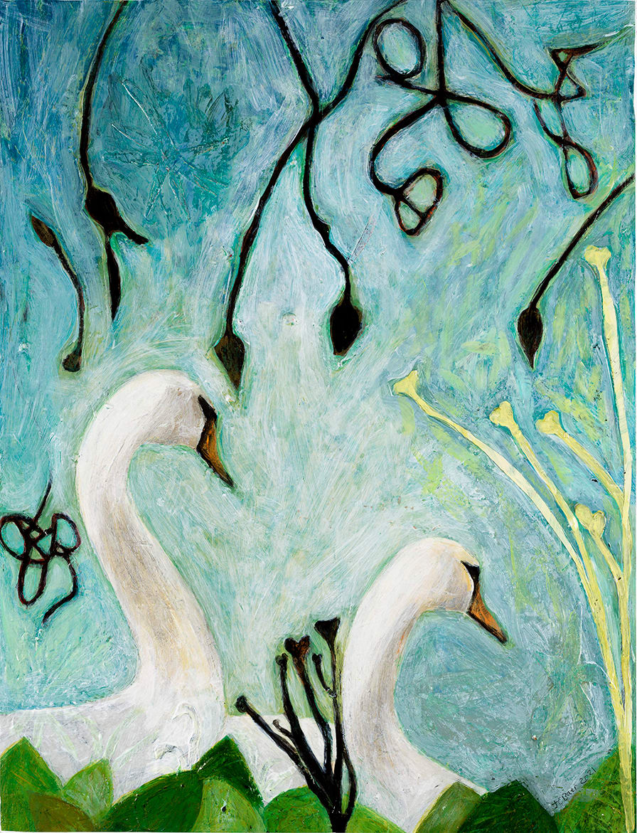 Swans by Julie C Baer 