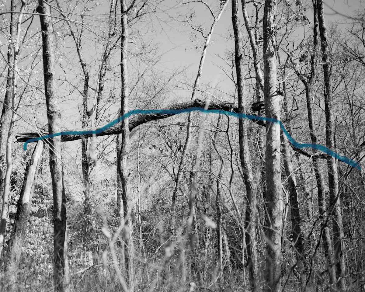 Sticks and Stones #7 by Brittany Marcoux 