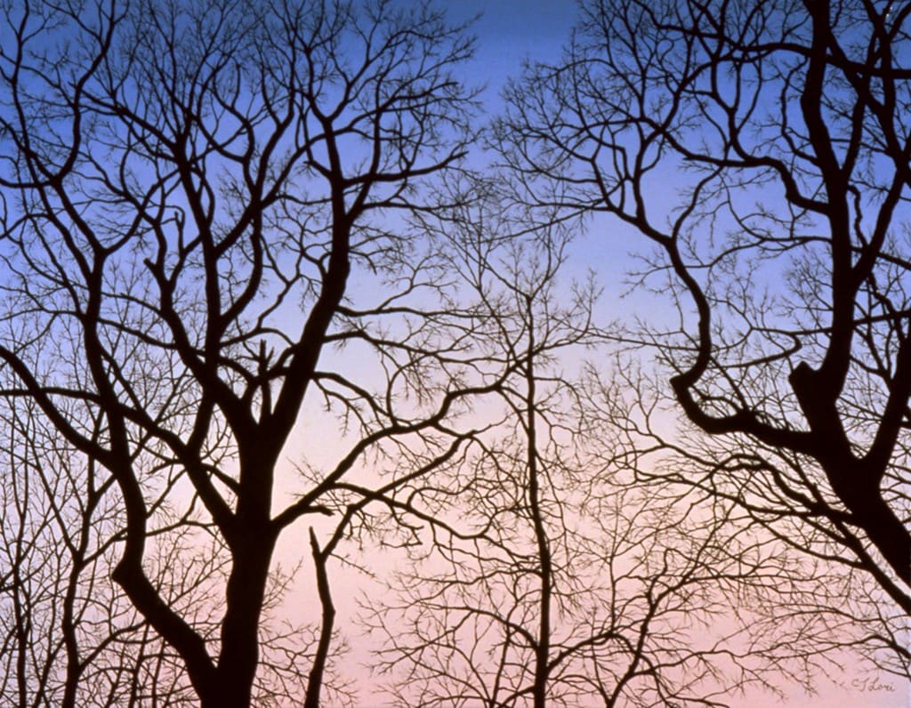 Twilight Intersections, I by C.J. Lori, Image 1.