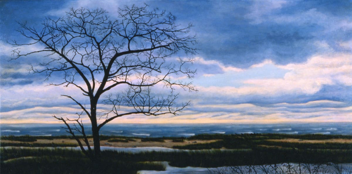 October 30, Boatmeadow, Eastham by C.J. Lori 