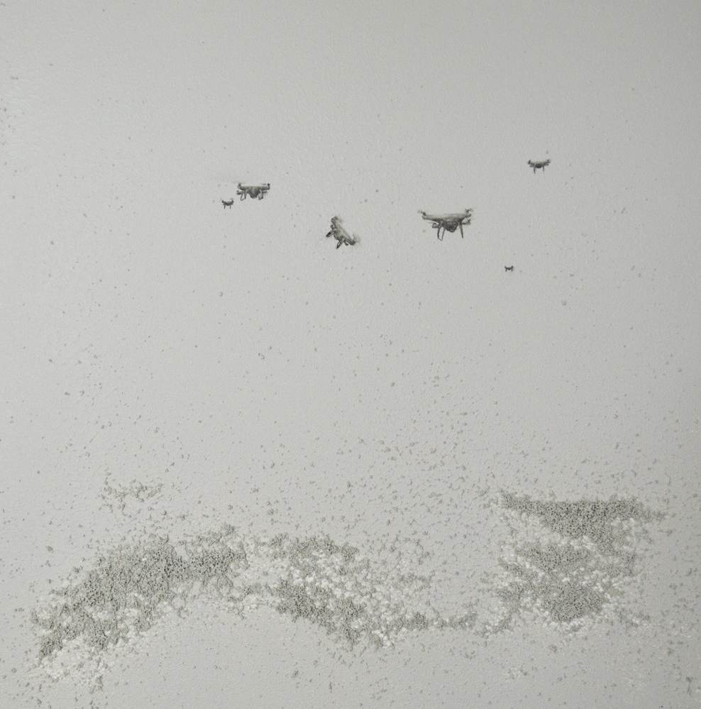 Drones by Wendy Shapiro, Image 1.