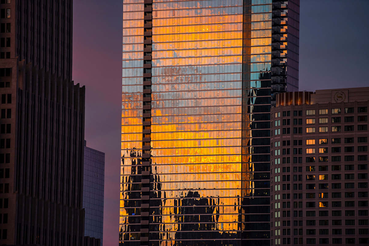 Reflections on Architecture by Steven Edson 