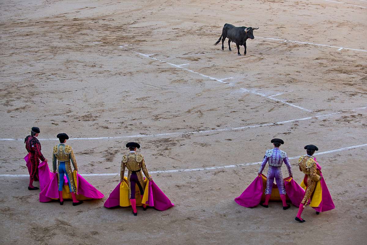 Plaza de Toros de Las Ventas by Steven Edson 