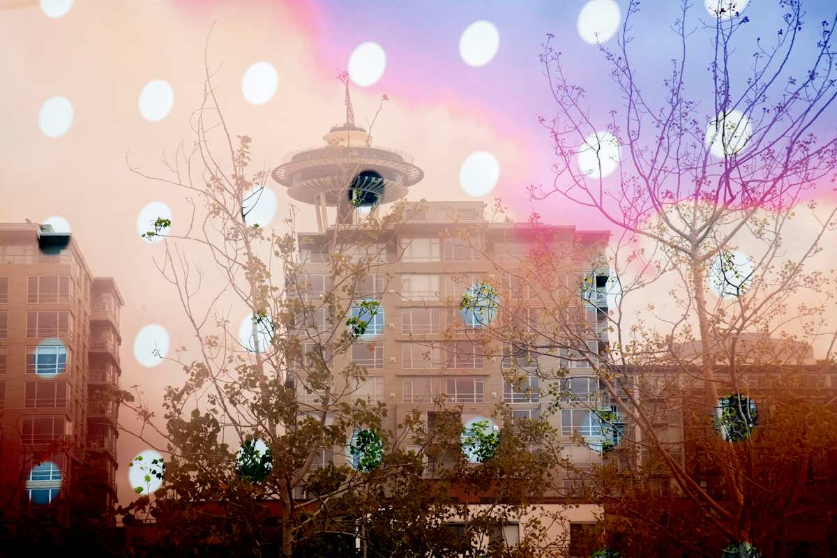 Seattle, Washington by Steven Edson 