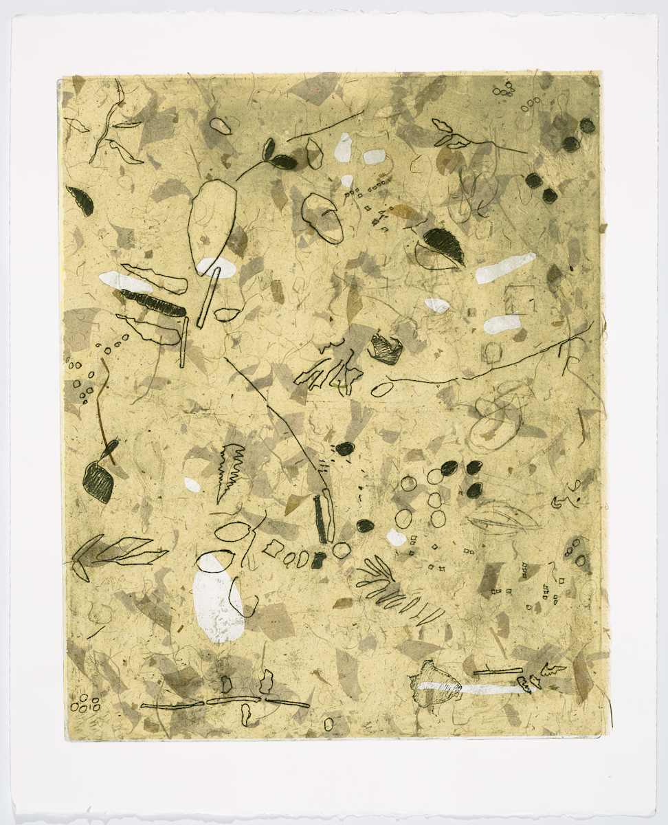 Flotsam II by Carlyn M. Ekstrom 