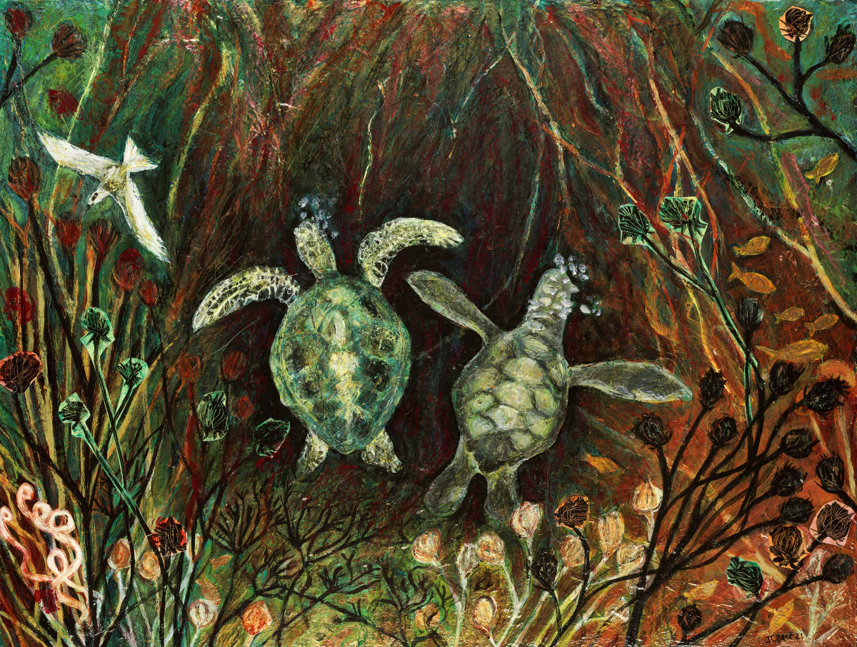Two Turtles by Julie C Baer 