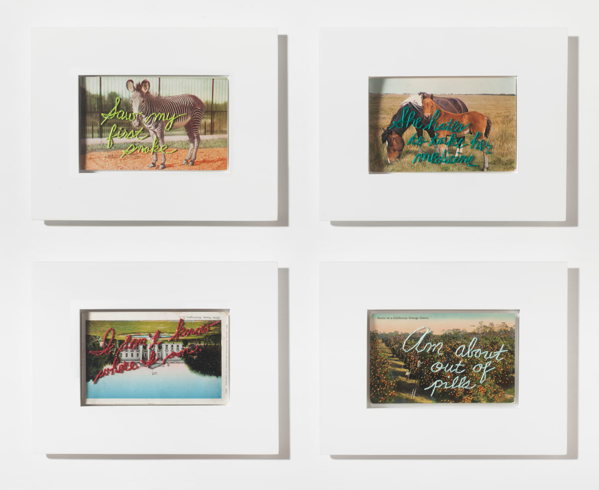 Sampled Lives by Jodi Colella, Image 9.