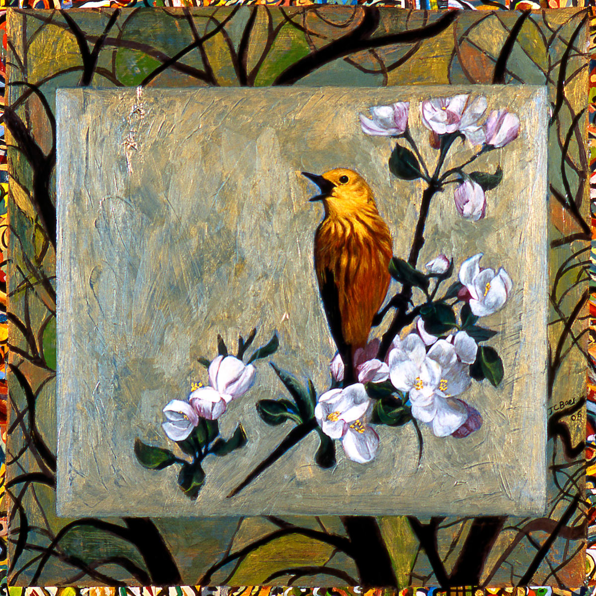Yellow Warbler by Julie C Baer 