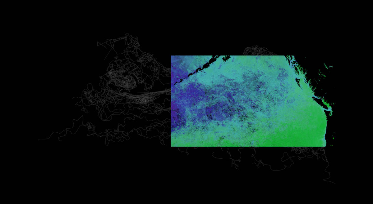 Argo Tracks and Sea Surface Temperature – North Pacific Ocean by W. Benjamin Bray 