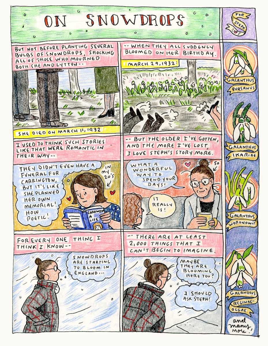 Some Thoughts on Snow Drops by Summer Pierre 