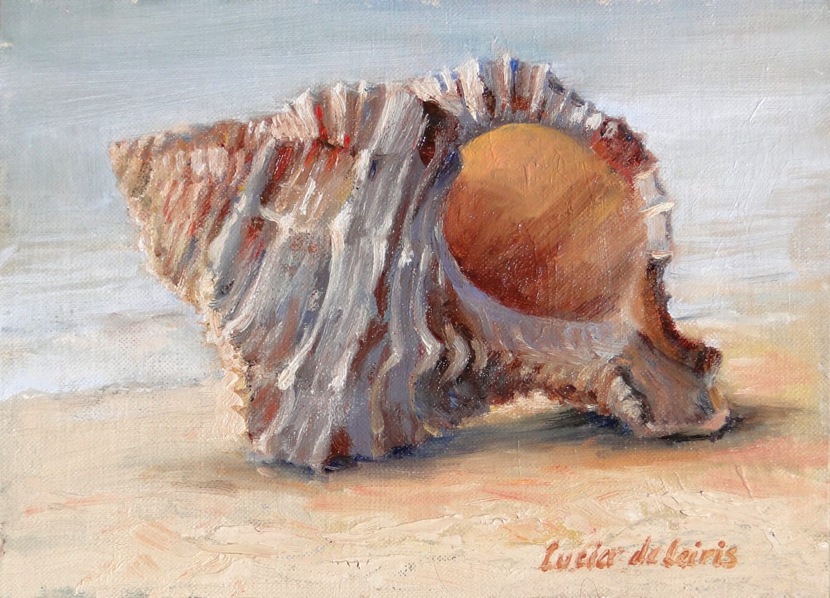 Apple Murex, Phyllonotus pomum by Lucia deLeiris 