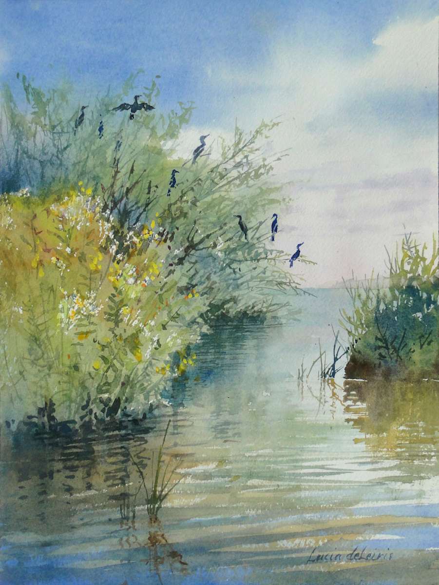 Cormorants by Lucia deLeiris 