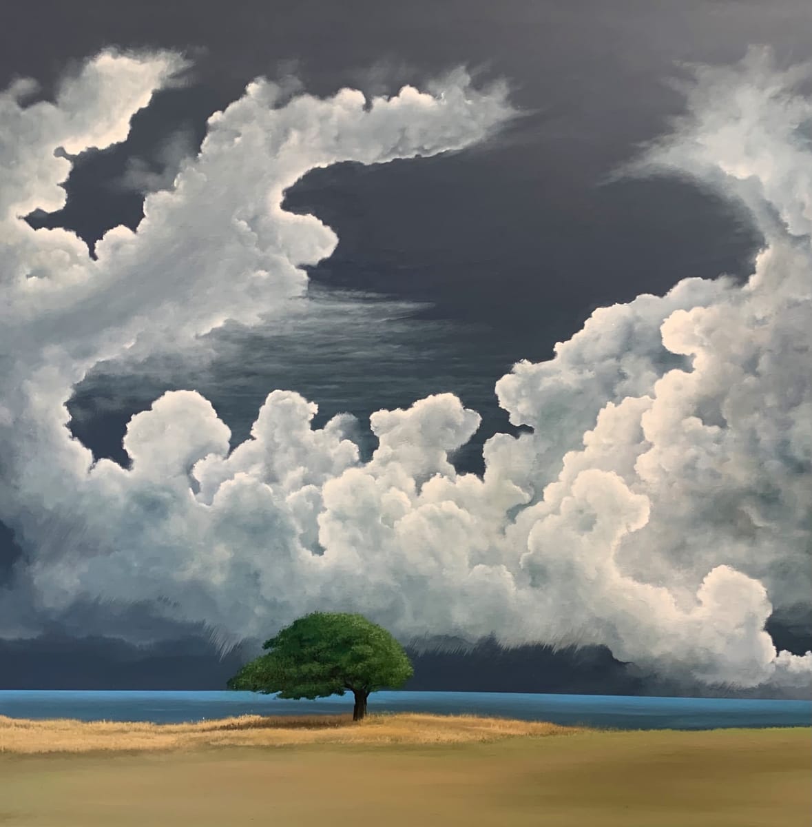 Dynamic Clouds Salute by Dave Kennedy - KENNEDY STUDIO ART 