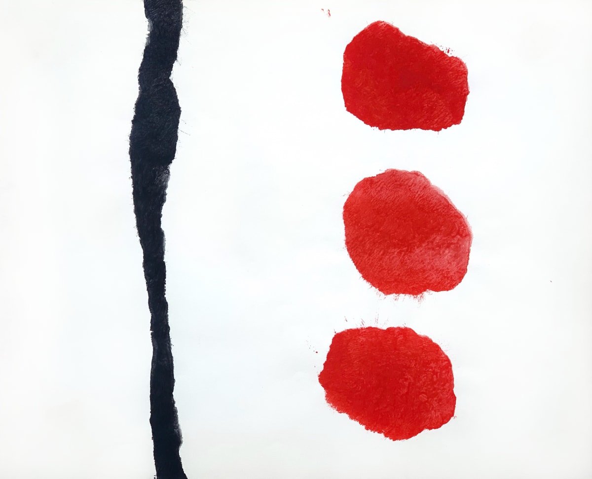 Red Dots Black Line, Image 1.