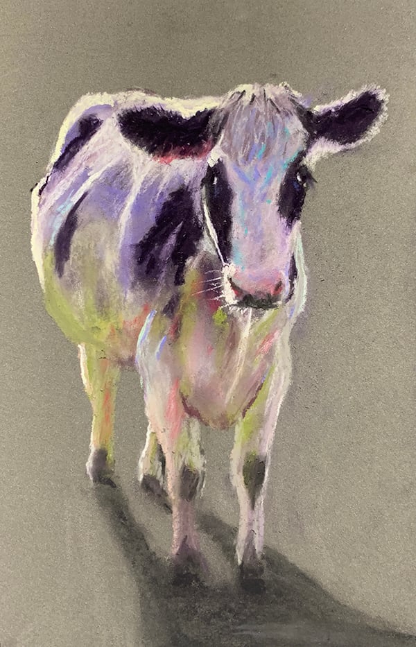 Backlit Bovine 