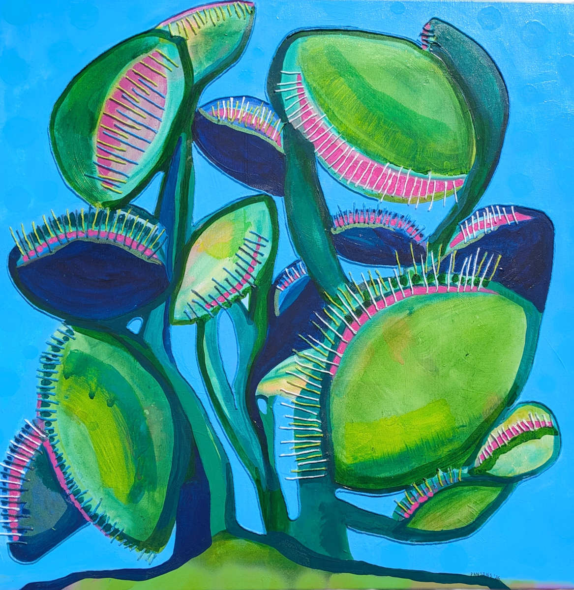 Fly Trap by Cat Parsons Matsuda, Image 1.