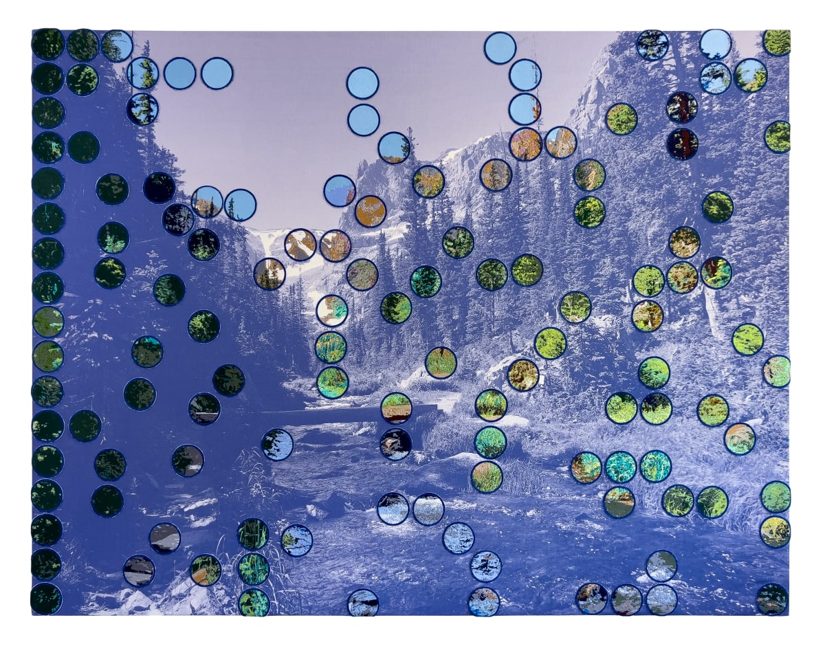 The Forest for the Trees/The Trees for the Forest I by Chloe Wilwerding 