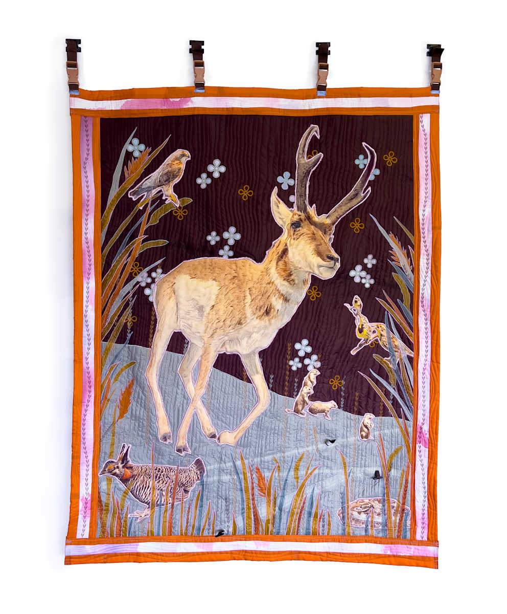 Antilocapra Americana (Tony and Friends) by Chloe Wilwerding 