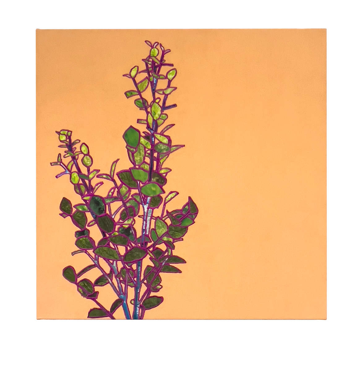 HD Landscape 5 by Chloe Wilwerding 