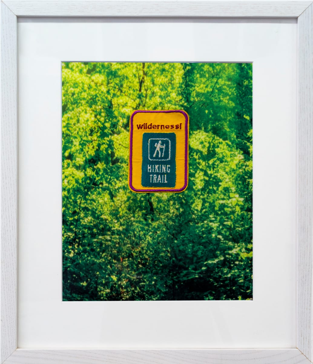 Merit IX: Wilderness! by Chloe Wilwerding 