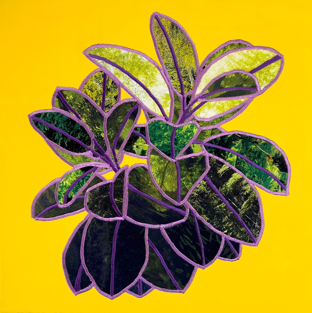 HD Landscape 4 by Chloe Wilwerding, Image 3.