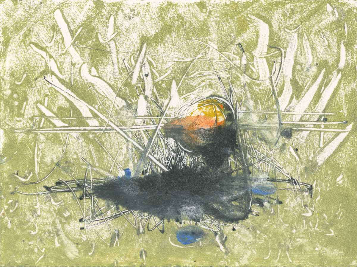 Muse, Image 1.
